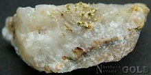 Specimen Gold 2200Shosh