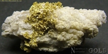 Specimen Gold  1367