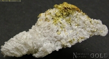 Specimen Gold  1064