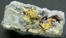 Gold Nugget 2030ER