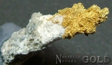 Specimen Gold 1976J