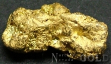 Gold Nugget 2170ER