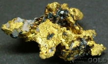 Specimen Gold 2041CH