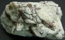 Specimen Gold 1972Ptsb