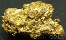 Gold Nugget 2101DG