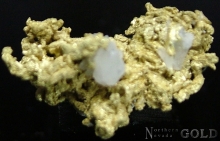 Specimen Gold 2227BLZ