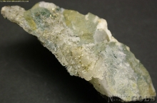 OLG#910B.JPG