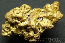 Gold Nuggets 2089ER