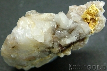 Specimen Gold 2195A_B_Pam