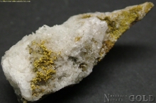 Specimen Gold  1099