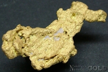 Gold Nuggets 2085ER