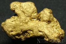 Gold Nugget 2157DG