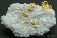Specimen Gold 2010BUL