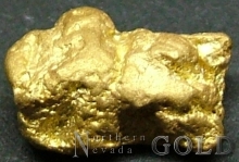 Gold Nuggets 2093ER