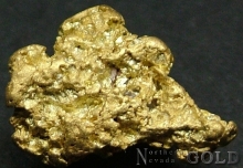 Gold Nugget 2172DG