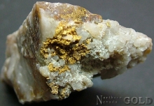 Specimen Gold 2219 PAM