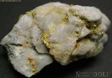 Specimen Gold  1025