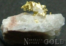 Specimen Gold 2206B_Shosh