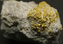 Specimen Gold  912
