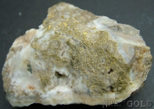 Specimen Gold-1916-7TR