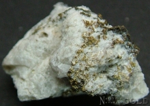 Specimen Gold 1936 PTSB