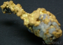 Gold Nugget 2240ER