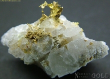 Specimen Gold  1756