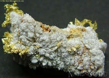 Specimen Gold  1748