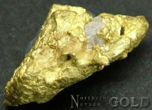 Specimen Gold 2051CH