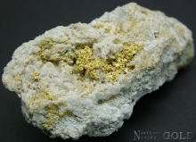 Specimen Gold 2134