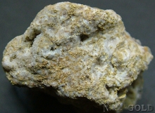 Specimen Gold 1952Adms