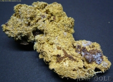 Specimen Gold  1726
