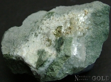 Specimen Gold 1966Olng