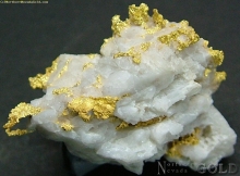 Specimen Gold  1736