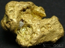 Gold Nugget 2241DG
