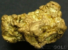Gold Nugget 2091ER