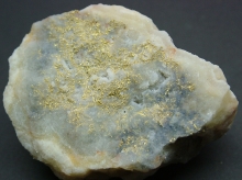 Specimen Gold 2120