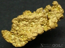 Gold Nugget 2174ER
