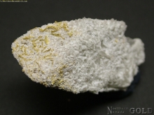 Specimen Gold  890