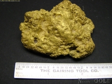 Gold Nugget  1305