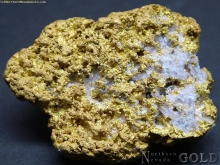 Gold Nugget  1551