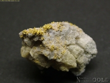 Specimen Gold  429