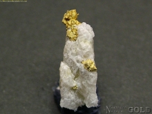 Specimen Gold  430