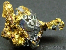 Specimen Gold 2046CH