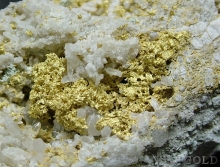 Specimen Gold 2134C