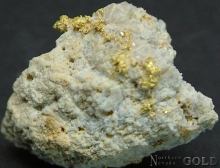 Specimen Gold 1973Wash