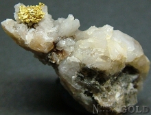 Specimen Gold 2195A_Pam