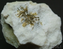 Specimen Gold 2133