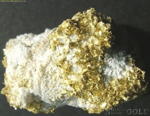 Specimen Gold  49