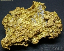 Gold Nugget  1728